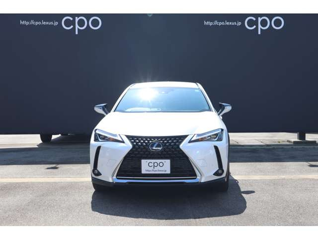 UX250h バージョンC