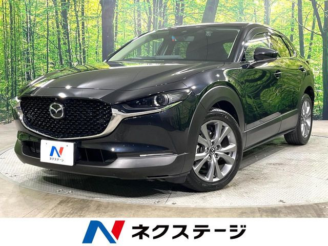 CX-30（マツダ）2.0 20S プロアクティブ ツーリングセレクション 中古車画像