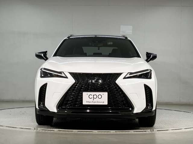 UX250h Fスポーツ エモーショナル エクスプローラー