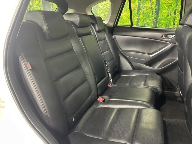 �㕔���Ȃ��C�ɂȂ�悤�ȃL�Y�E�����ւ��蓙�A�傫�ȃ_���[�W�͂Ȃ��A�ǍD�ȏ�Ԃł��B