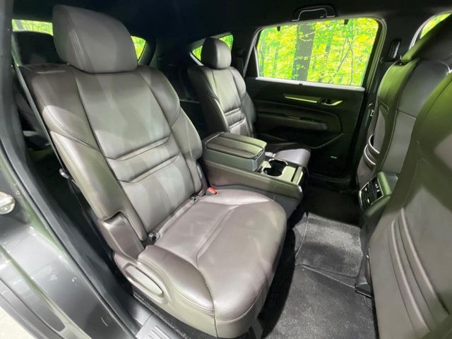 �㕔���Ȃ��C�ɂȂ�悤�ȃL�Y�E�����ւ��蓙�A�傫�ȃ_���[�W�͂Ȃ��A�ǍD�ȏ�Ԃł��B