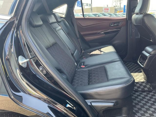 �㕔���Ȃ��C�ɂȂ�悤�ȃL�Y�E�����ւ��蓙�A�傫�ȃ_���[�W�͂Ȃ��A�ǍD�ȏ�Ԃł��B