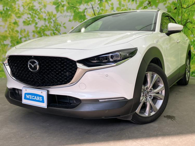 CX-301.8 XD Lパッケージ