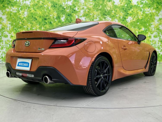 GR862.4 RZ 10th アニバーサリー リミテッド