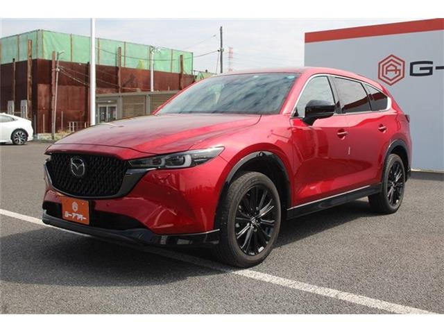 ���Ǝҗl�ւ̔̔��͂��f�肳���Ă��������܂��B �Ԍ������ԗ��̏ꍇ�́A�Ԍ����擾�������x�������z�ŕ\�����Ă���܂��B