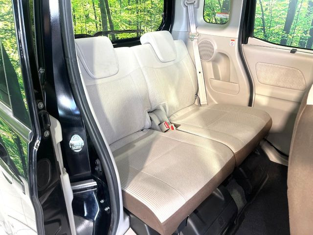 �㕔���Ȃ��C�ɂȂ�悤�ȃL�Y�E�����ւ��蓙�A�傫�ȃ_���[�W�͂Ȃ��A�ǍD�ȏ�Ԃł��B