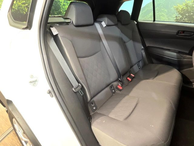 �㕔���Ȃ��C�ɂȂ�悤�ȃL�Y�E�����ւ��蓙�A�傫�ȃ_���[�W�͂Ȃ��A�ǍD�ȏ�Ԃł��B