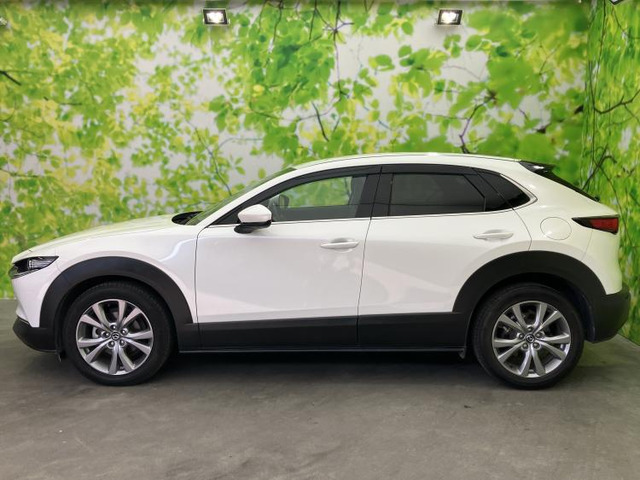 CX-301.8 XD Lパッケージ