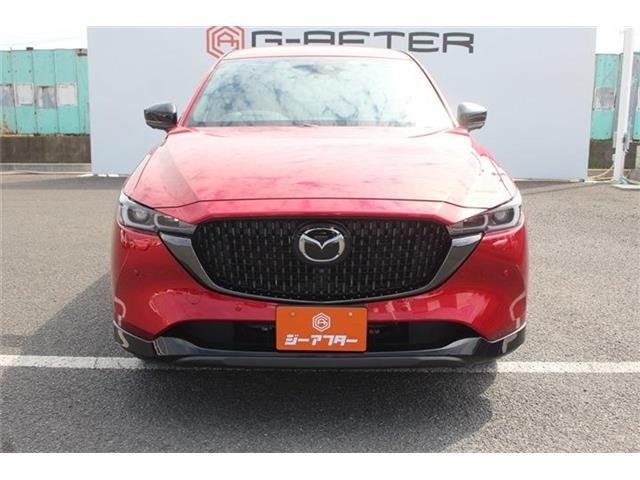 ���Ǝҗl�ւ̔̔��͂��f�肳���Ă��������܂��B �Ԍ������ԗ��̏ꍇ�́A�Ԍ����擾�������x�������z�ŕ\�����Ă���܂��B