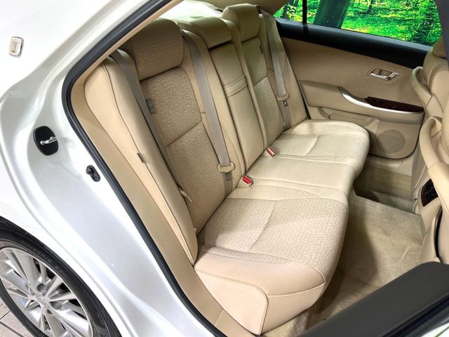 �㕔���Ȃ��C�ɂȂ�悤�ȃL�Y�E�����ւ��蓙�A�傫�ȃ_���[�W�͂Ȃ��A�ǍD�ȏ�Ԃł��B