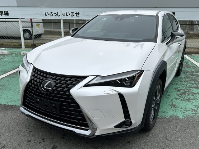 UX250h バージョンC