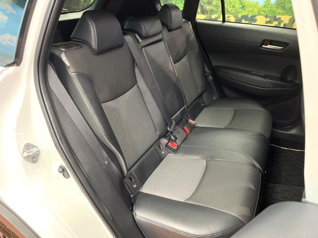 �㕔���Ȃ��C�ɂȂ�悤�ȃL�Y�E�����ւ��蓙�A�傫�ȃ_���[�W�͂Ȃ��A�ǍD�ȏ�Ԃł��B