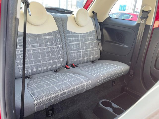 ���㕔���Ȃ��C�ɂȂ�悤�ȃL�Y�E�����ւ��蓙�A�傫�ȃ_���[�W�͂Ȃ��A�ǍD�ȏ�Ԃł��B