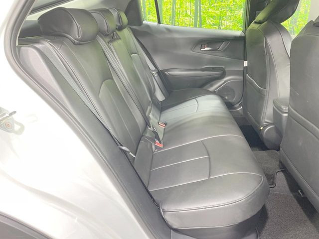 �㕔���Ȃ��C�ɂȂ�悤�ȃL�Y�E�����ւ��蓙�A�傫�ȃ_���[�W�͂Ȃ��A�ǍD�ȏ�Ԃł��B