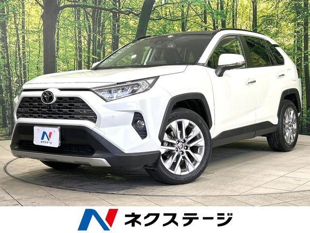 RAV42.0 G Zパッケージ 4WD