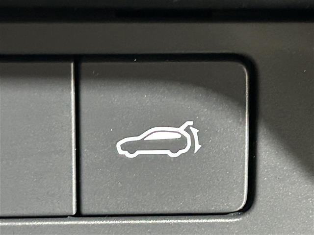 CX-302.0 20S ブラックトーンエディション