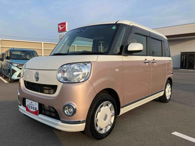 ムーヴキャンバスX リミテッド メイクアップ SAIII