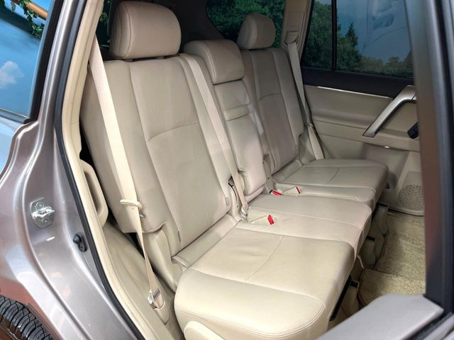 �㕔���Ȃ��C�ɂȂ�悤�ȃL�Y�E�����ւ��蓙�A�傫�ȃ_���[�W�͂Ȃ��A�ǍD�ȏ�Ԃł��B