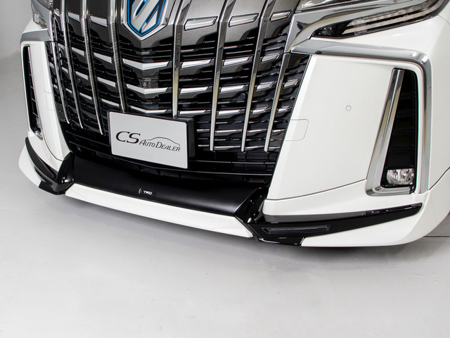 ��TRD�G�A�����f�U�C�����̍���TRD�G�A���ɂăJ�X�^��!!