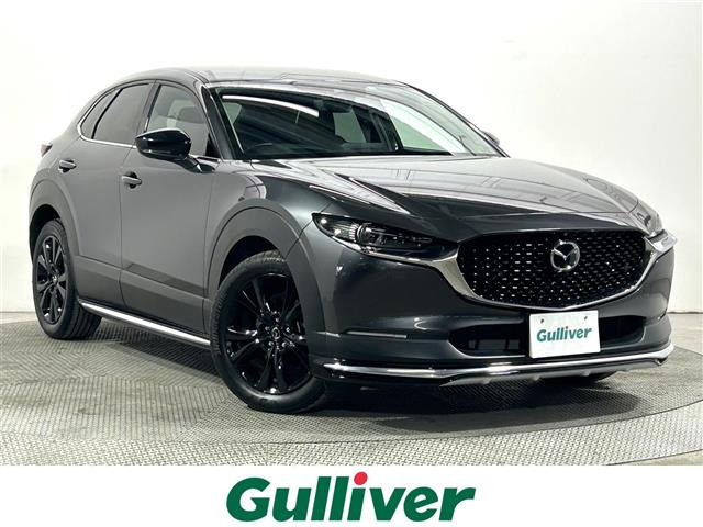 CX-302.0 20S ブラックトーンエディション