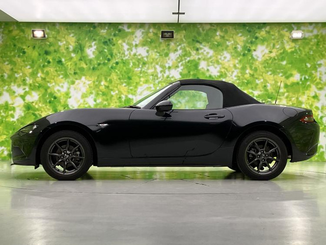 ロードスター1.5 S スペシャルパッケージ