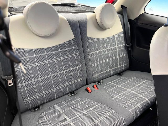 ���㕔���Ȃ��C�ɂȂ�悤�ȃL�Y�E�����ւ��蓙�A�傫�ȃ_���[�W�͂Ȃ��A�ǍD�ȏ�Ԃł��B