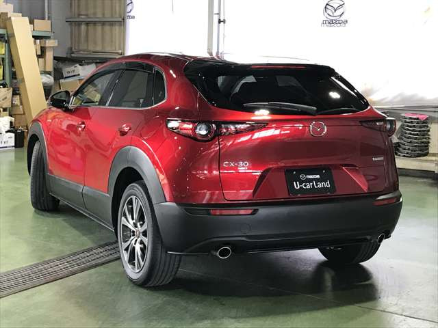 CX-301.8 XD 100周年特別記念車 4WD