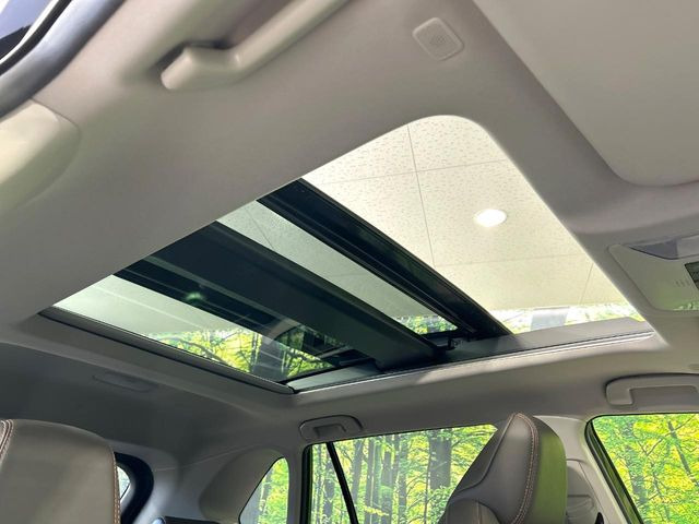 �y�T�����[�t�z�J���������Ղ�̊󏭑����A�T�����[�t����������Ă��܂�!�ԓ��ɖ�����������ꂽ��i�F���y���ވȊO�ɂ��A�ԓ��̋�C���ȒP�Ɋ��C�ł��ĉ��K�ł�!