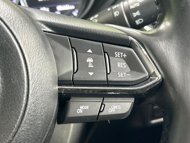 �y�}�c�_�E���[�_�[�N���[�Y�R���g���[���z�������H�ł̒��������s���y��!�����ő��x��ۂN���[�Y�R���g���[�����A�Փˌy���V�X�e���ƘA�g���A�O���̎ԗ������m���ĎԊԂ�ۂ悤�ɑ��x���߂��Ă���܂�!!