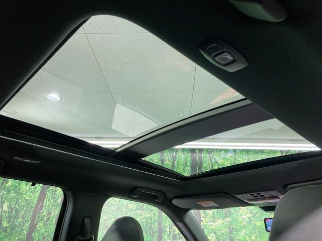 �y�T�����[�t�z�J���������Ղ�̊󏭑����A�T�����[�t����������Ă��܂�!�ԓ��ɖ�����������ꂽ��i�F���y���ވȊO�ɂ��A�ԓ��̋�C���ȒP�Ɋ��C�ł��ĉ��K�ł�!