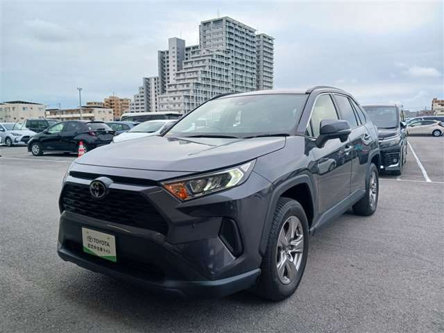 RAV42.0 X