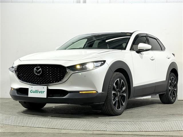 CX-302.0 20S プロアクティブ ツーリングセレクション