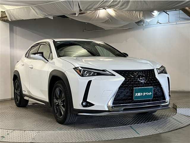 UX250h バージョンC