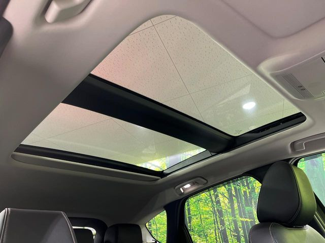 �y�T�����[�t�z�J���������Ղ�̊󏭑����A�T�����[�t����������Ă��܂�!�ԓ��ɖ�����������ꂽ��i�F���y���ވȊO�ɂ��A�ԓ��̋�C���ȒP�Ɋ��C�ł��ĉ��K�ł�!