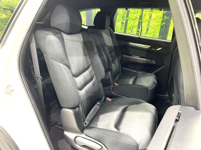 �㕔���Ȃ��C�ɂȂ�悤�ȃL�Y�E�����ւ��蓙�A�傫�ȃ_���[�W�͂Ȃ��A�ǍD�ȏ�Ԃł��B