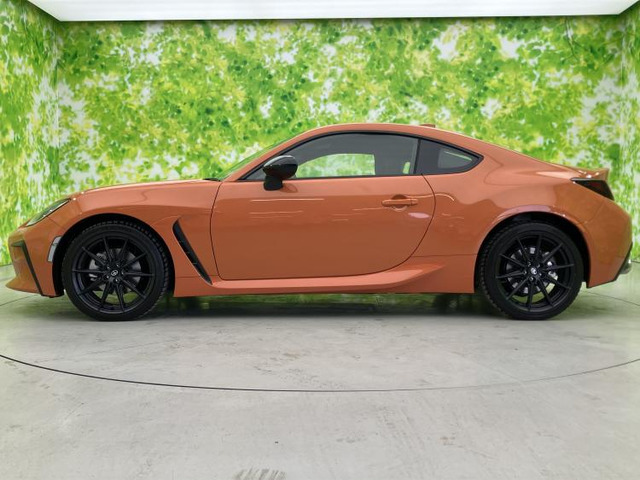 GR862.4 RZ 10th アニバーサリー リミテッド