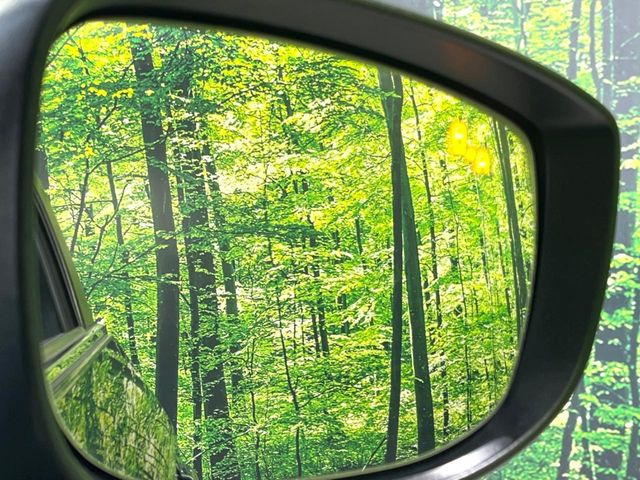 �y�u���C���h�X�|�b�g���j�^�����O�z���s���A�h�A�~���[�̎��p�ɂȂ�₷���ӏ��Ɍ㑱�Ԃ��ڋ߂���ƃT�C�h�~���[�t�߂Ɍx����\���A�h���C�o�[�ɒ��ӊ��N�����Ă���܂��B