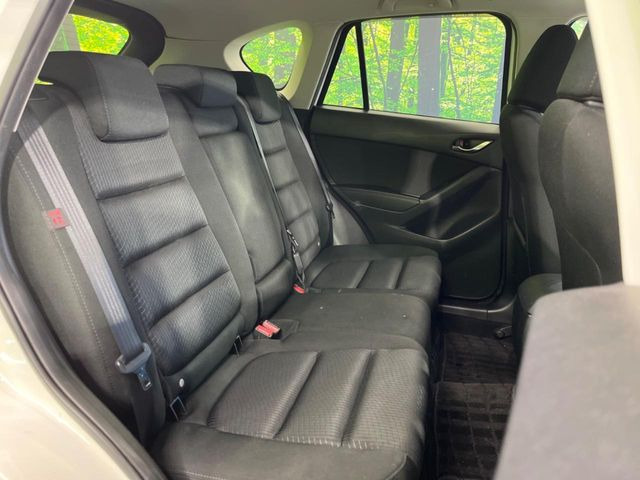 �㕔���Ȃ��C�ɂȂ�悤�ȃL�Y�E�����ւ��蓙�A�傫�ȃ_���[�W�͂Ȃ��A�ǍD�ȏ�Ԃł��B