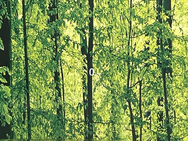 �y�w�b�h�A�b�v�f�B�X�v���C�z���݂̑��x�⑖�s�����f�W�^���\���ŉ^�]�ȑO���̃K���X�ɓ��e!�^�]���A�ڐ������炳���K�v�ȏ����m�F�ł���̂łƂ��Ă��֗��ň��S!