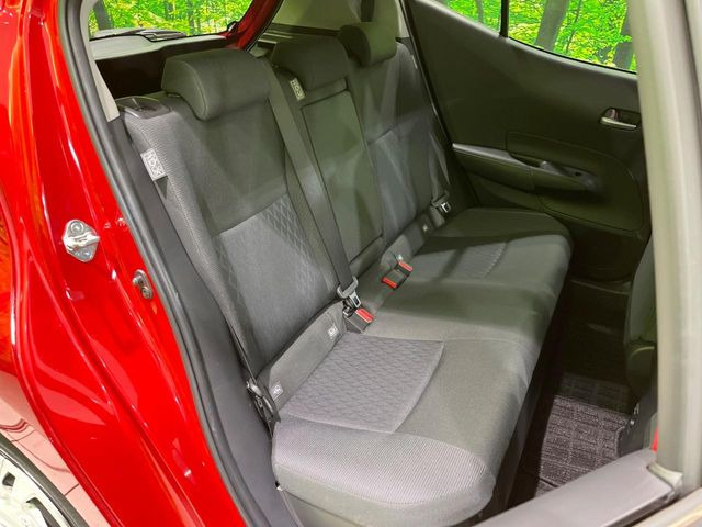 �㕔���Ȃ��C�ɂȂ�悤�ȃL�Y�E�����ւ��蓙�A�傫�ȃ_���[�W�͂Ȃ��A�ǍD�ȏ�Ԃł��B