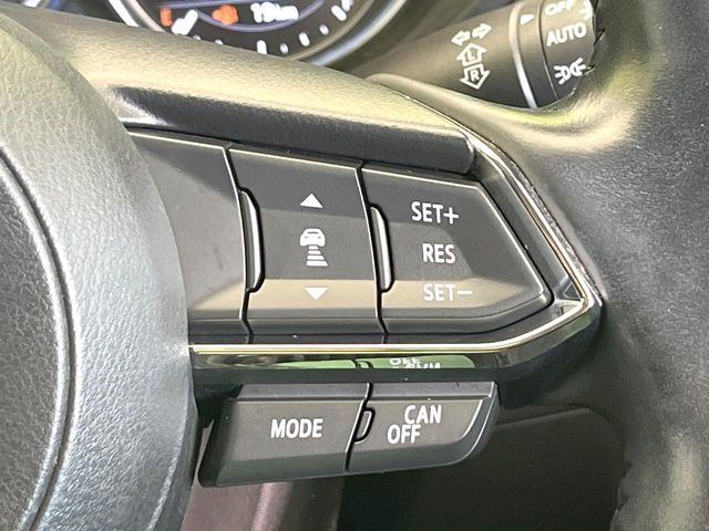 �y�}�c�_�E���[�_�[�N���[�Y�R���g���[���z�������H�ł̒��������s���y��!�����ő��x��ۂN���[�Y�R���g���[�����A�Փˌy���V�X�e���ƘA�g���A�O���̎ԗ������m���ĎԊԂ�ۂ悤�ɑ��x���߂��Ă���܂�!!