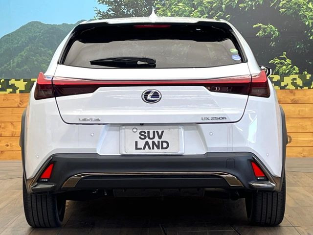 安心の最長10年・走行無制限保証(有償)をご用意。保証内容も充実はもちろん、無料点検&オイル交換や、年中無休の全国・24時間ロードサービスも付帯されておりますのでご安心下さい。