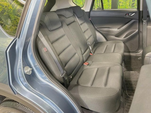 �㕔���Ȃ��C�ɂȂ�悤�ȃL�Y�E�����ւ��蓙�A�傫�ȃ_���[�W�͂Ȃ��A�ǍD�ȏ�Ԃł��B