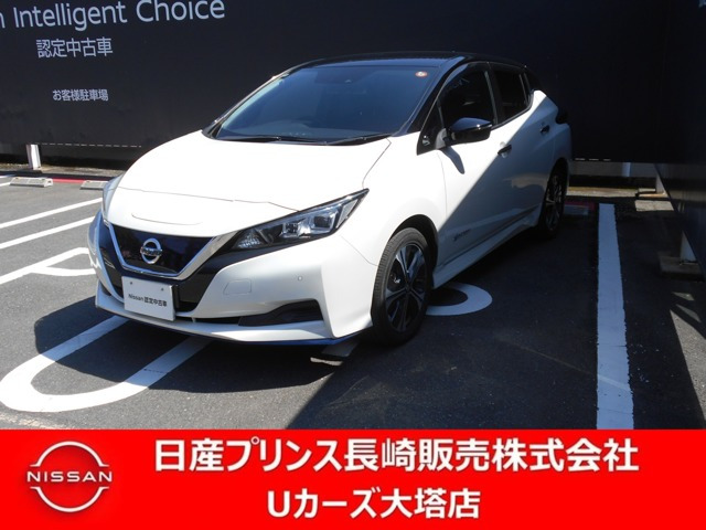 リーフe+ X