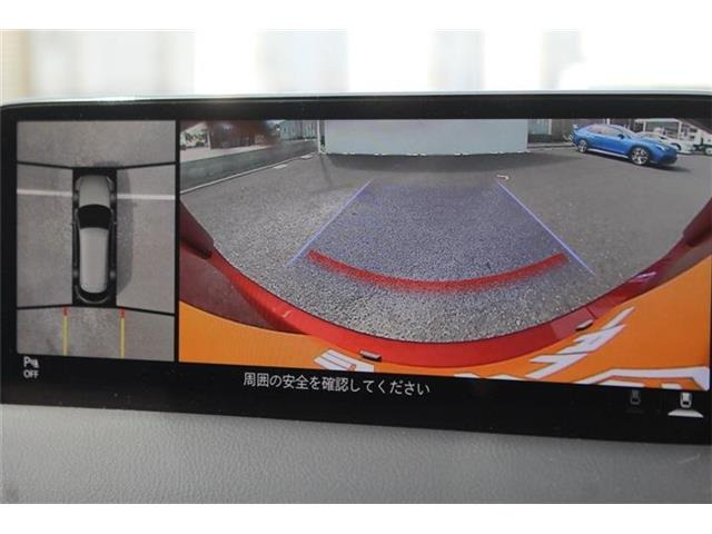 ���Ǝҗl�ւ̔̔��͂��f�肳���Ă��������܂��B �Ԍ������ԗ��̏ꍇ�́A�Ԍ����擾�������x�������z�ŕ\�����Ă���܂��B