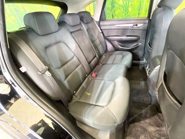 �㕔���Ȃ��C�ɂȂ�悤�ȃL�Y�E�����ւ��蓙�A�傫�ȃ_���[�W�͂Ȃ��A�ǍD�ȏ�Ԃł��B