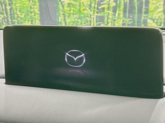 �y10.25�C���`�}�c�_�R�l�N�g�z�ԓ��̕��͋C�Ƀ}�b�`������^�f�B�X�v���C�B�X�}�z�ڑ��ł̃i�r�g�p��Bluetooth�Đ����A�l�X�ȋ@�\���y���߂܂��B�����I�ȃ_�C�������삪�\�ŁA�g��������ǍD�ł��B