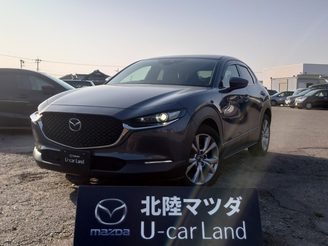 CX-302.0 20S プロアクティブ ツーリングセレクション