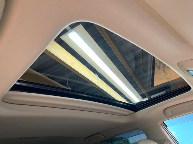 �y�T�����[�t�z�J���������Ղ�̊󏭑����A�T�����[�t����������Ă��܂�!�ԓ��ɖ�����������ꂽ��i�F���y���ވȊO�ɂ��A�ԓ��̋�C���ȒP�Ɋ��C�ł��ĉ��K�ł�!