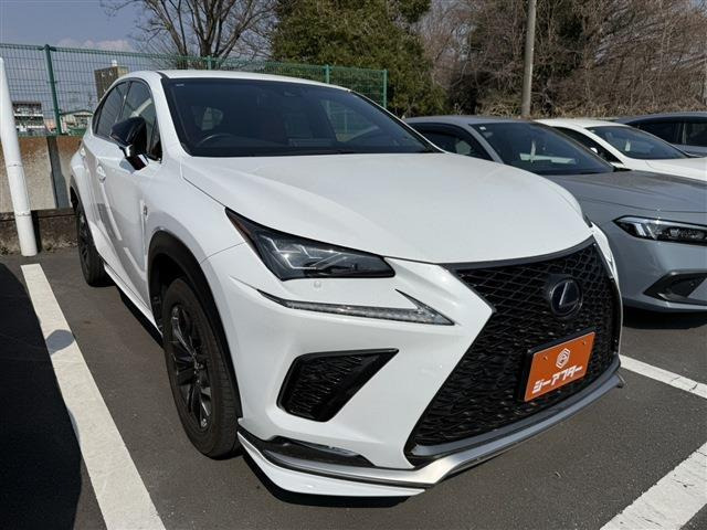 NX300h Fスポーツ